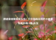 蹲键盘缝隙踩锁头线！只会踩梅花的巴小橘是专属胖橘CF猫q队友