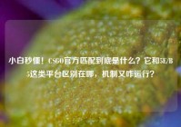 小白秒懂！CSGO官方匹配到底是什么？它和5E/B5这类平台区别在哪，机制又咋运行？