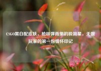 CSGO黑白配皮肤，枪林弹雨里的极简星，无数玩家的第一份情怀印记