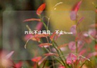 PUBG不止海岛，不止Steam