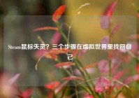 Steam鼠标失灵？三个步骤在虚拟世界里找回自己