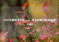 PUBG专属优化利器Anyu，怎么设端口告别延迟卡顿？