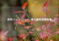 炽烈（chì liè）CSGO，枪火里的滚烫青春