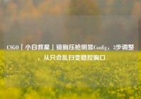 CSGO「小白救星」锁胸压枪明显Config，3步调整，从只会乱扫变稳控胸口