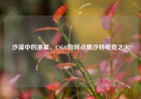 沙漠中的准星，CSGO如何点燃沙特电竞之火
