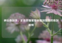 峡谷练剑录，王者荣耀里那些握剑姑娘的练剑视频