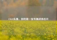 CSGO头像，你的第一张专属战场名片