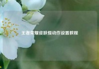 王者荣耀皮肤慢动作设置教程