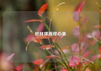 枪林弹雨修心录