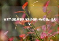 王者荣耀隐藏密码与没听懂的神秘暗语台词大全