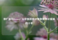 敖厂长与Steam，从中国游戏守望者到争议漩涡的十年