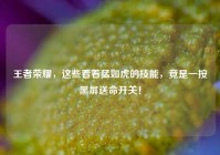 王者荣耀，这些看着猛如虎的技能，竟是一按黑屏送命开关！