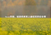 Steam双锁，给游戏库系上最结实的安全带