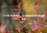 十万弯刀熔炉绝响，CSGO最贵皮肤灰飞烟灭的瞬间