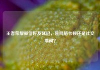 王者荣耀微信好友延迟，是网络卡顿还是社交隔阂？