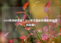 CSGO夜场缺排面？M4A1夜无眠皮肤模板精准选购指南！