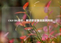CSGO IHG排名，解读职业赛场新风向标