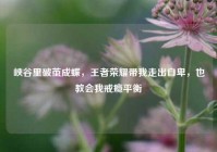 峡谷里破茧成蝶，王者荣耀带我走出自卑，也教会我戒瘾平衡