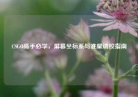 CSGO高手必学，屏幕坐标系与准星调校指南