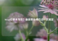 Steam订单未发货？最简单处理方法一文搞定