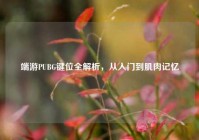 端游PUBG键位全解析，从入门到肌肉记忆