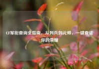 CF军衔查询全指南，从列兵到元帅，一键查证你的荣耀