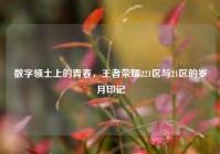 数字领土上的青春，王者荣耀221区与21区的岁月印记