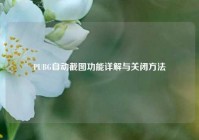 PUBG自动截图功能详解与关闭方法