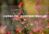 王者荣耀小小阳，峡谷里的那缕打野段位小阳光