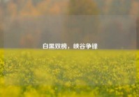 白黑双榜，峡谷争锋