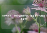 STEAM教育，当蒸汽遇见未来，重塑下一代的技术灵魂