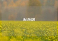 逆战伴唱版