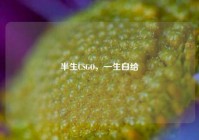 半生CSGO，一生白给
