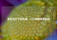 紫色光芒下的心跳，CSGO受限掉落瞬间