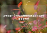 王者荣耀一小时防沉迷是枷锁还是成长铠甲？附设置方法
