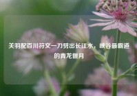 关羽配百川符文一刀劈出长江水，峡谷最霸道的青龙偃月