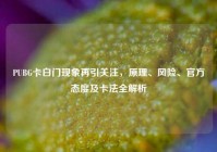 PUBG卡白门现象再引关注，原理、风险、官方态度及卡法全解析