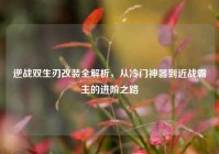 逆战双生刃改装全解析，从冷门神器到近战霸主的进阶之路