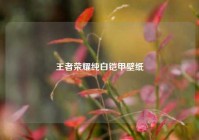 王者荣耀纯白铠甲壁纸
