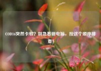 COD16突然卡顿？别急着砸电脑，按这个顺序排查！