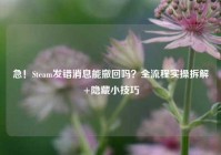 急！Steam发错消息能撤回吗？全流程实操拆解+隐藏小技巧