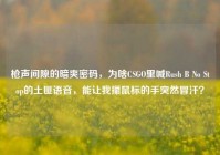 枪声间隙的暗爽密码，为啥CSGO里喊Rush B No Stop的土匪语音，能让我攥鼠标的手突然冒汗？