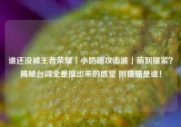 谁还没被王者荣耀「小奶喵攻击波」萌到攥紧？揭秘台词全是撸出来的感觉 附猫猫是谁！