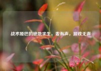 战术哑巴的绝地求生，麦有声，游戏无声