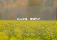 命运裂缝，拔剑逆战