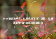 PUBG语音没声音、队友也听不见？别慌！从设置到硬件的全流程排查指南