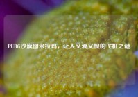 PUBG沙漠图米拉玛，让人又爱又恨的飞机之谜