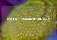 峡谷十客，王者荣耀里的十种玩家人生