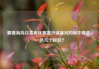 藏着海岛日落雨林雾霭沙漠星河的和平精英，一共几个段位？