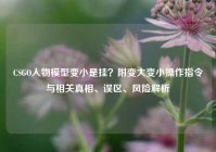 CSGO人物模型变小是挂？附变大变小操作指令与相关真相、误区、风险解析